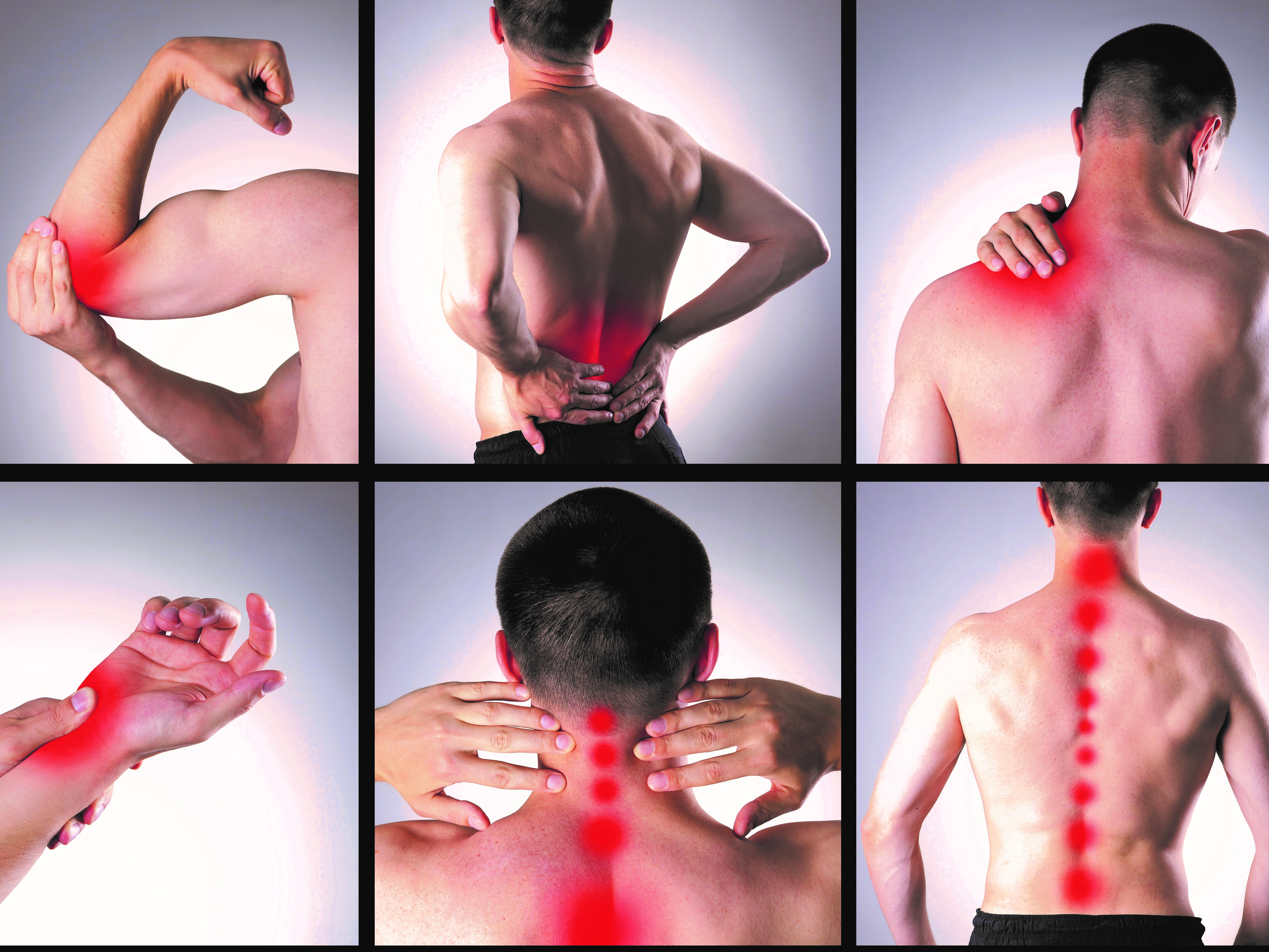 Efecto Antiinflamatorio